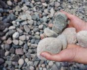 #4 Canadian Gravel