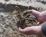 Mason Sand