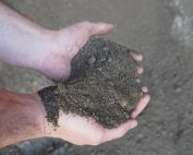 Topsoil